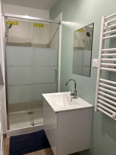 une salle de bain avec un lavabo et une douche dans l'établissement Appartement 4 personnes Proche Centrex & Disneyland, à Noisy-le-Grand