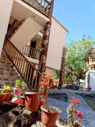 Κήπος έξω από το Hotel El Gran Valletero
