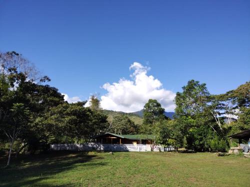 Gallery image of Frech lodge in Oxapampa