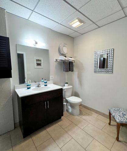 Koupelna v ubytování Luxéry Stay Chicago - Themed Units! Close to Downtown, McCormick Place & Wintrust Arena