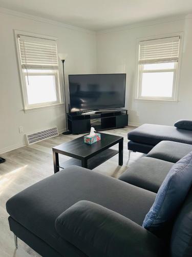 a living room with two couches and a tv at Charming & Spacious 3 bedroom Home near Downtown Ferndale, MI in Ferndale
