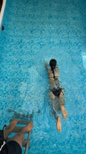 un perro está nadando en una piscina en Hotel Terraza Girardot, en Girardot
