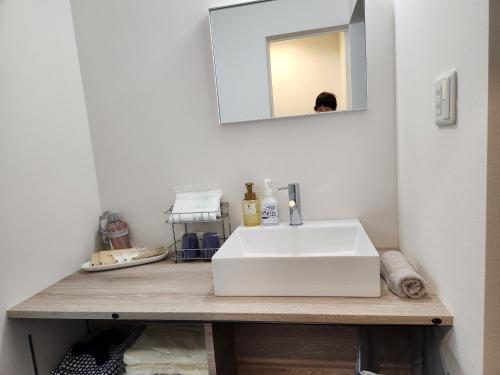 a bathroom with a white sink and a mirror at Pension Green Lake in Gujo