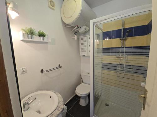 ein Badezimmer mit Dusche, Toilette und Waschbecken in der Unterkunft Studio cosy avec piscine partagée et étang privé, proche Bergerac et sites touristiques du Périgord - FR-1-616-207 in Naussannes