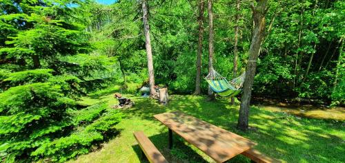 an overhead view of a hammock in a forest at Štiavnička in Mýto pod Ďumbierom