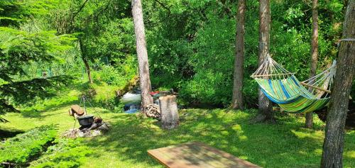 a hammock in the middle of a forest at Štiavnička in Mýto pod Ďumbierom