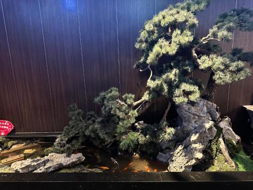 a bonsai tree with a rock next to a wall at The North Garden Hotel Beijing Wangfujing-Located in the city center,adjacent to Wangfujing Street,Tiananmen Square,the Forbidden City, offering Beijing tour service in Beijing