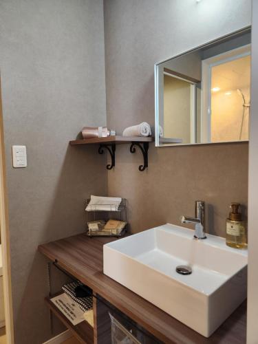 a bathroom with a white sink and a mirror at Pension Green Lake in Gujo