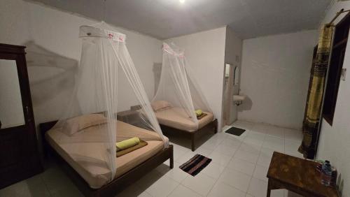 two beds with mosquito nets in a room at Tangkoko Macaca in Rinondoran