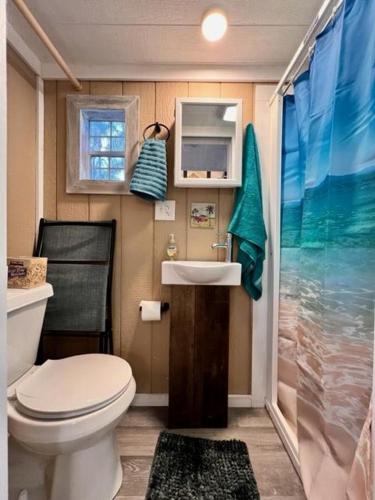 a small bathroom with a toilet and a sink at Tiny House on private large property in Vista