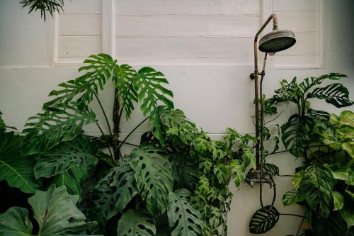 Gallery image of Chompranghouse บ้านชมปรางค์ in Ban Pa Kluai