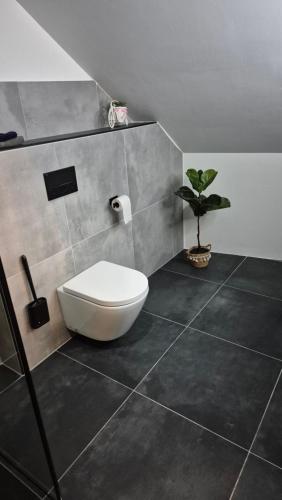 a bathroom with a toilet and a potted plant at Pension Schmatka Matka in Lutherstadt Eisleben