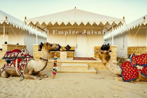 a group of camels sitting in front of a building at Royal Empire Camp & Resort Jaisalmer in Sām