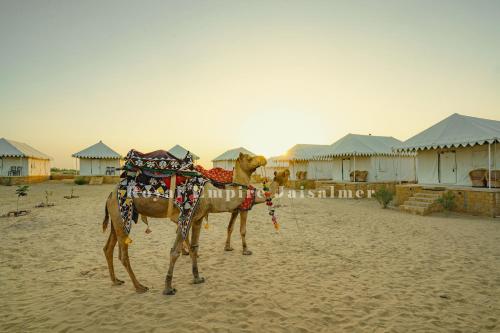 a camel standing on the sand in front of houses at Royal Empire Camp & Resort Jaisalmer in Sām