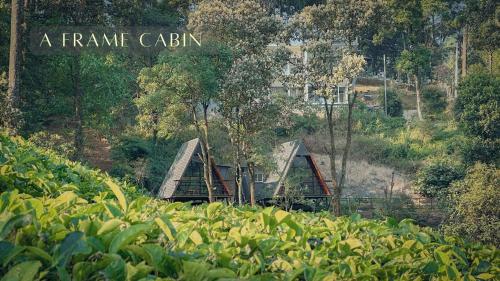 a picture of a farm in the middle of a field at Forestscape Resort Munnar in Munnar