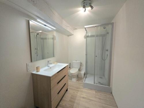 une salle de bain avec toilettes, lavabo et douche dans l'établissement Gîte rénové avec piscine partagée à Saint-Méard-de-Drône - FR-1-616-468, à Villetoureix