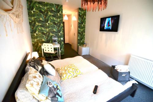 a bedroom with a bed and a tv on a wall at Hotel Biscuit in Cluj-Napoca