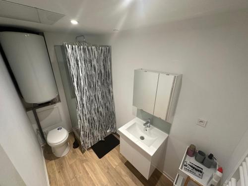a bathroom with a shower and a sink and a toilet at 2 chambres pour 6 pers proche plage et cap gris nez in Calais