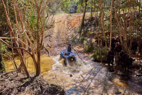 a man riding on the back of an elephant through a river at KUR-Cow farm escape 35 minutes from Cairns in Kuranda