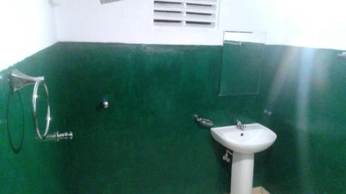 a green bathroom with a sink and a mirror at Sinharaja Green Villa Homestay in Deniyaya