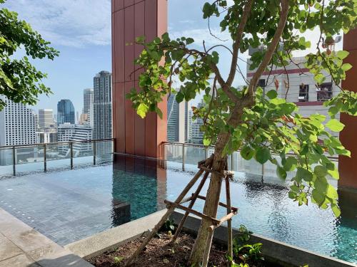 a tree on the roof of a building with a pool at Circle 31 #1BR Bangkok in Bangkok