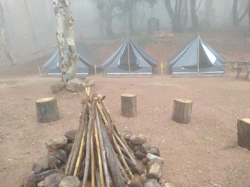 Φωτογραφία από το άλμπουμ του Earth Camping - Ella σε Ella