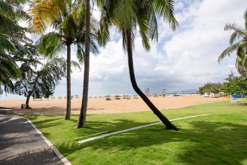 a group of palm trees on the beach at Puhai Sea View Apt by Hailan Tour at Sanya Yazhou Bay#only 100 meters to Beach and Sea Swimming Area in Sanya