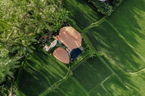 an aerial view of a car parked in a field at Arapan Ubud Eco Villa in Ubud