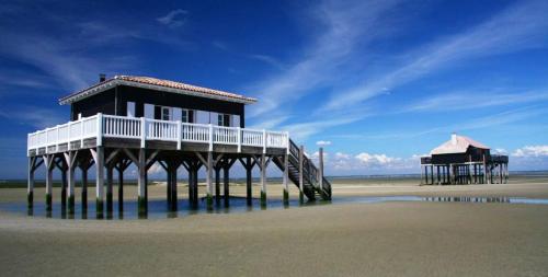 Vue imprenable Bassin d'Arcachon