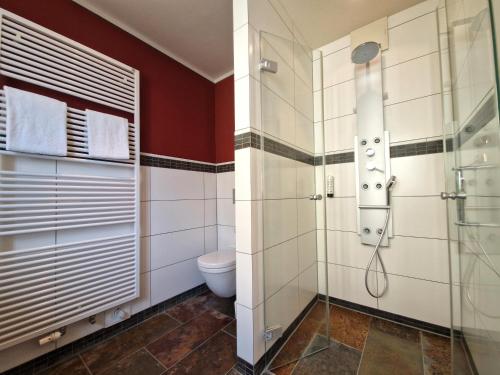 a bathroom with a shower and a toilet at Mosers Blume Relax & Genuss Hotel in Haslach im Kinzigtal