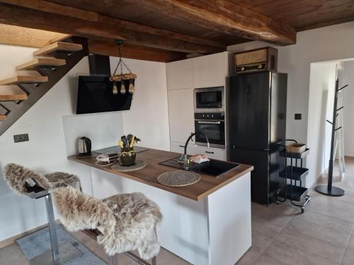 Dapur atau dapur kecil di Hižica v plavem trnacu 1
