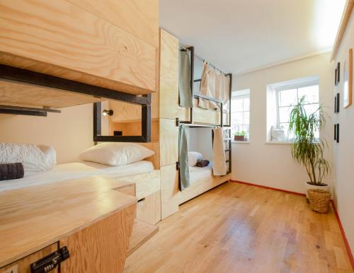 Kuchyň nebo kuchyňský kout v ubytování Montagu Hostel