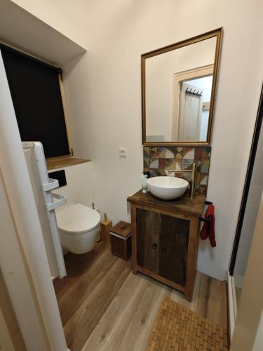 une salle de bain avec un lavabo, des toilettes et un miroir dans l'établissement Serre Chevalier 2 pièces au cœur du centre historique, à Briançon