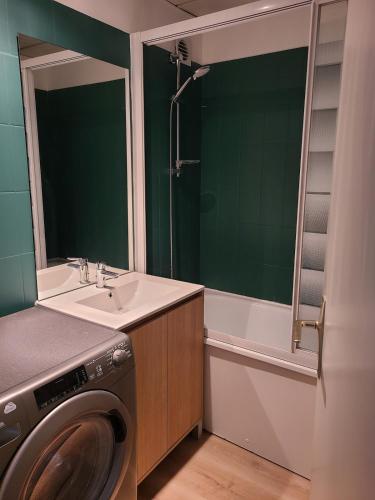 une salle de bain avec un lavabo et une machine à laver dans l'établissement Appartement à la plage, vue sur la mer, à Calais