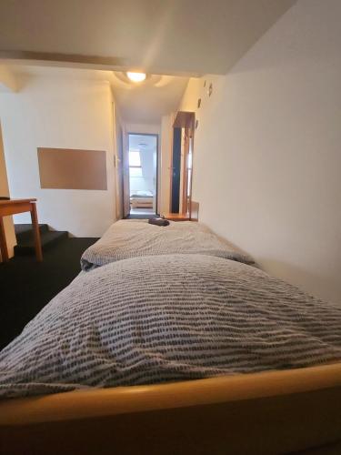 a bedroom with two beds in a room at Penzion u Martina in Liberec