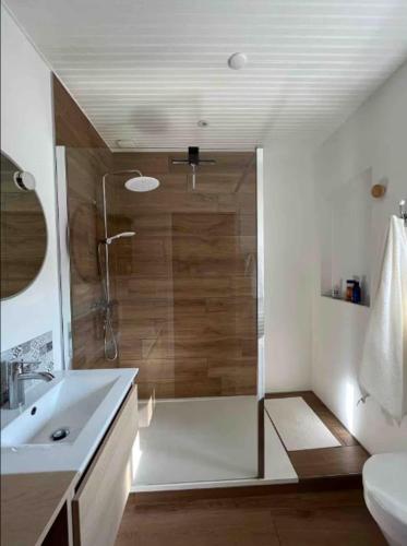 une salle de bain avec douche et lavabo dans l'établissement Maison Centre ville, à La Roche-sur-Yon