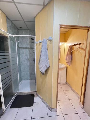 une salle de bain avec douche et porte vitrée dans l'établissement Appartement Coeur de Ville avec Terrasse et Parking, à Bergerac