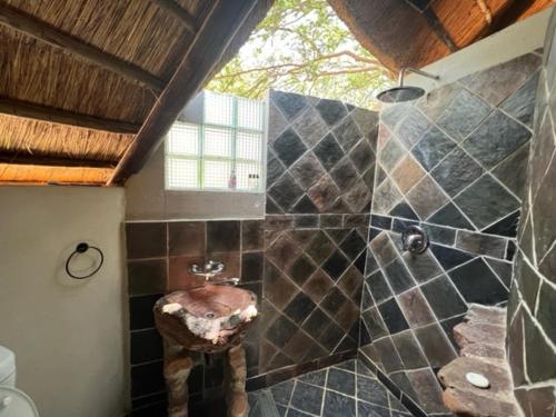 a bathroom with a shower with a toilet in it at Kolobeng Cottages in Gaborone