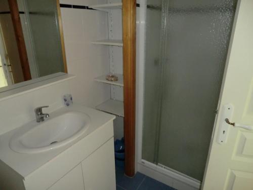 une salle de bain avec un lavabo et une douche dans l'établissement Douarnenez tréboul près des plages, à Douarnenez