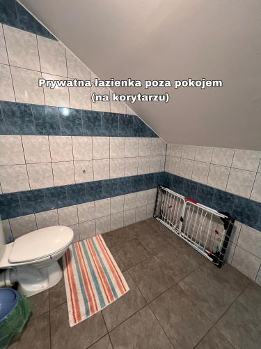 a bathroom with a toilet and a rug at Knieja u Andrzeja in Lutowiska