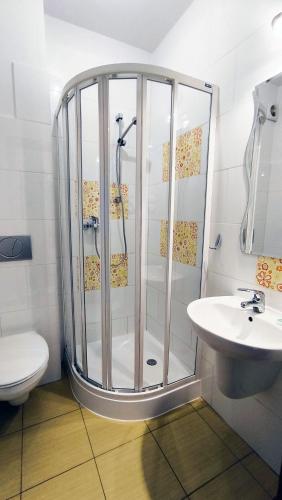 a bathroom with a shower and a toilet and a sink at Jaś i Małgosia nad Jeziorem Wigry in Rosochaty Róg