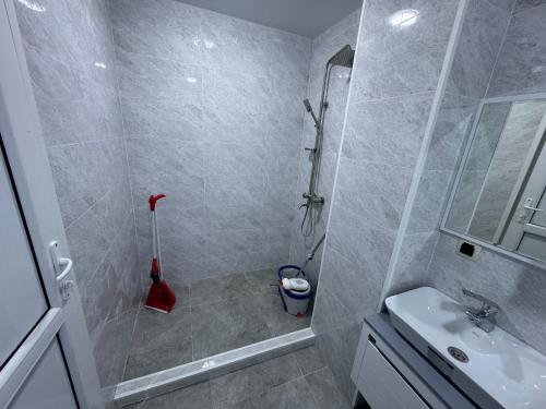 a bathroom with a shower and a sink at Nadikvari in Tbilisi City
