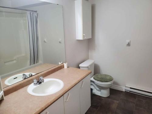 a bathroom with a sink and a toilet at Lovely Room in Hull Gatineau in Gatineau