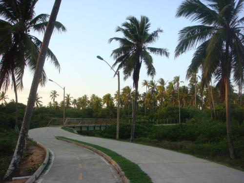 a winding road with palm trees on the side at Refúgio do Corsário-Imbassai-Ba in Imbassai