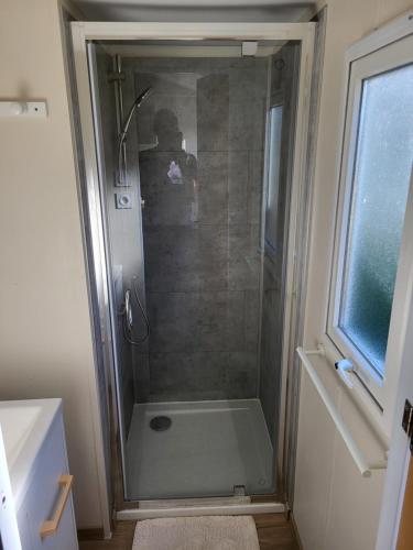 une douche avec une porte vitrée dans une salle de bain dans l'établissement Gîte Sous le Tilleul, à Saint-Florent-le-Vieil