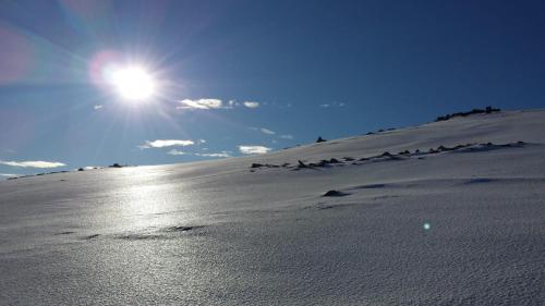 Un paisaje natural cerca de la casa de huéspedes