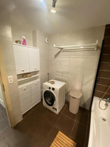 a small bathroom with a washing machine in it at Flat near Strasbourg in Offendorf