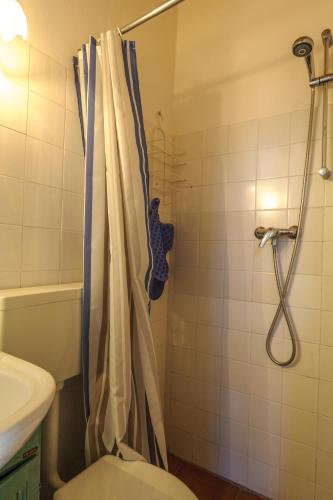 a bathroom with a shower with a toilet and a sink at Locanda di CasalMustia in Castelmuzio