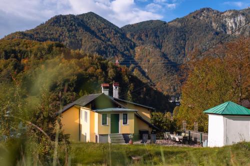 Natur & Ruhe - Ferienhaus Alexandra