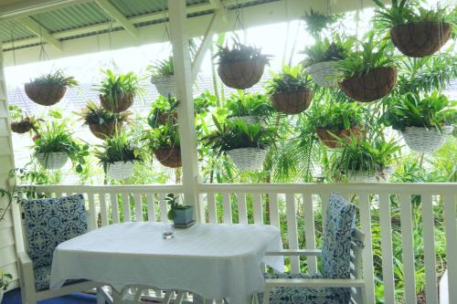 a table and chairs on a porch with potted plants at Debbie's Place in Rainbow Beach
